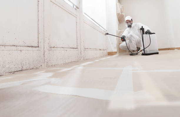 24/7 Emergency Attic Mold Remediation experts in Augusta, GA
