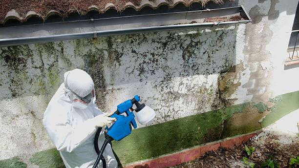 Top rated local Attic Mold Remediation specialists in Augusta, GA